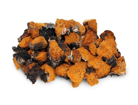 Chaga Mushroom Powder 2.jpg